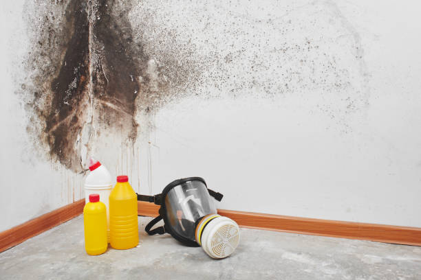 Best Mold Testing  in Castle Pines Village, CO