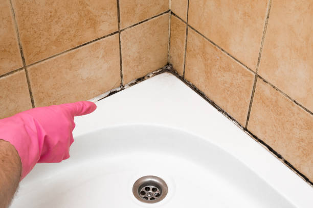 Best Mold Testing  in Castle Pines Village, CO